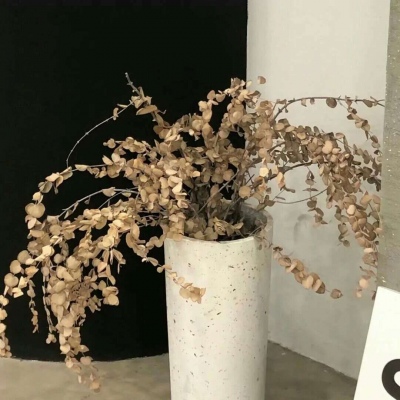 弓长岭FurryQQ群介绍